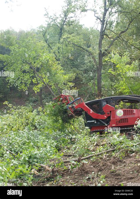 Cutting down of trees under highway construction Stock Photo - Alamy