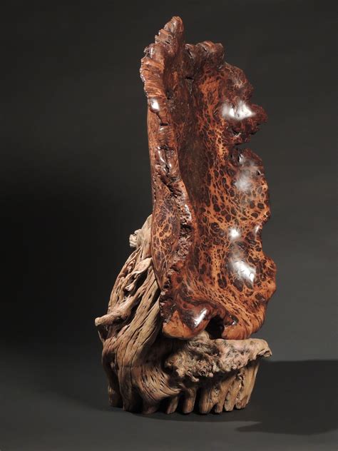 #5 Large Oak burl with Saguaro cactus stand. by john Hoyt | Wood artist, Wood sculpture, Bamboo art