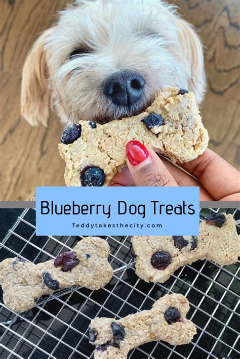 Blueberry Dog Treats www.teddytakesthecity.com | Easy dog treats, Healthy dog treat recipes ...