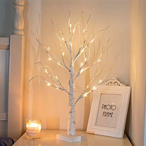 Best White Tree Branch Decor