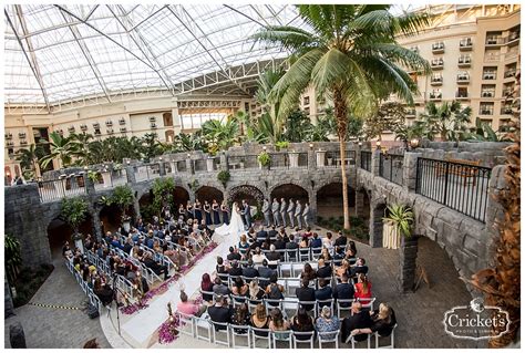 Enchanted Forest Themed Wedding at Gaylord Palms Orlando