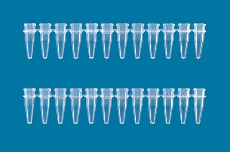 BRAND™ PCR Tube Strips Capacity: 0.2mL; Color: Rose | Fisher Scientific