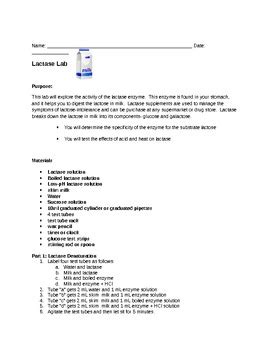 Lactase Enzyme Lab by MrsFitz | TPT