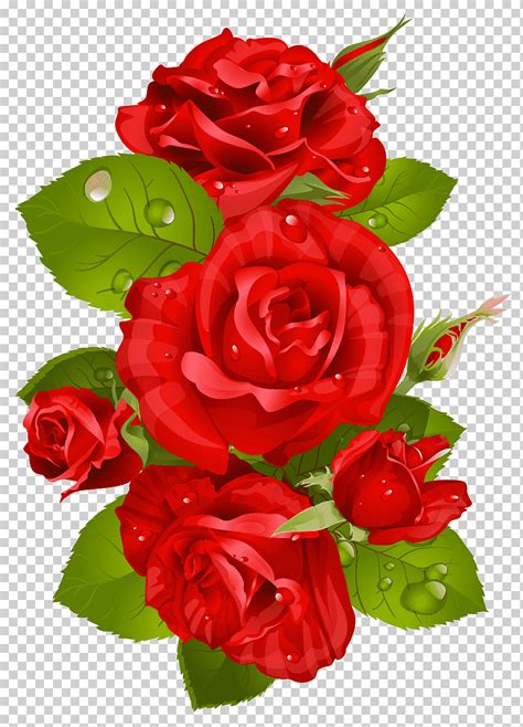 Ilustración de flores de rosa roja, flor de rosa roja, decoración de rosa roja, arreglos ...