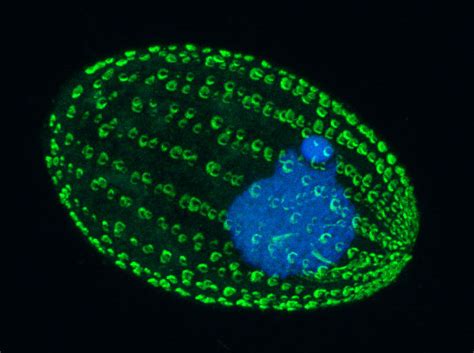 Overview – The Waller Lab