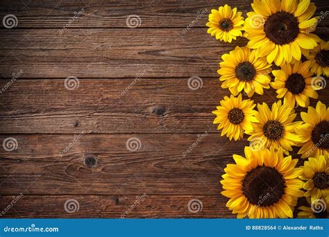 Sunflowers on Wooden Background Stock Photo - Image of plank, flower: 88828564