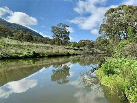 Photo monitoring your restoration project – a guide for landholders – Rivers of Carbon