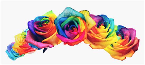 Rainbow Flower Crown Png, Transparent Png - kindpng