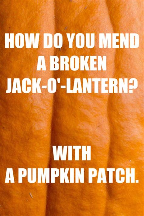 55 Best Pumpkin Quotes and Puns - Funny Sayings About Pumpkins for ...