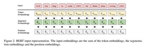 python - What are the inputs to the transformer encoder and decoder in ...