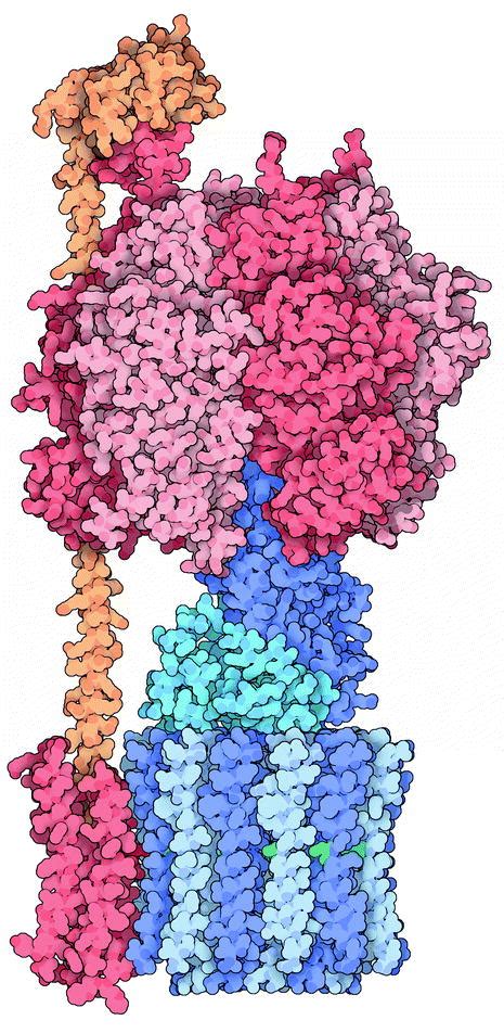 Molecular Machines | SpringerLink