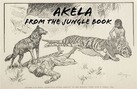 Akela from The Jungle Book | Jungle book, Mowgli, Jungle