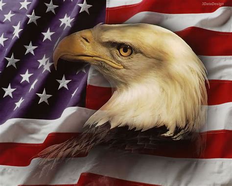 🔥 [40+] Eagle Flag Wallpapers | WallpaperSafari