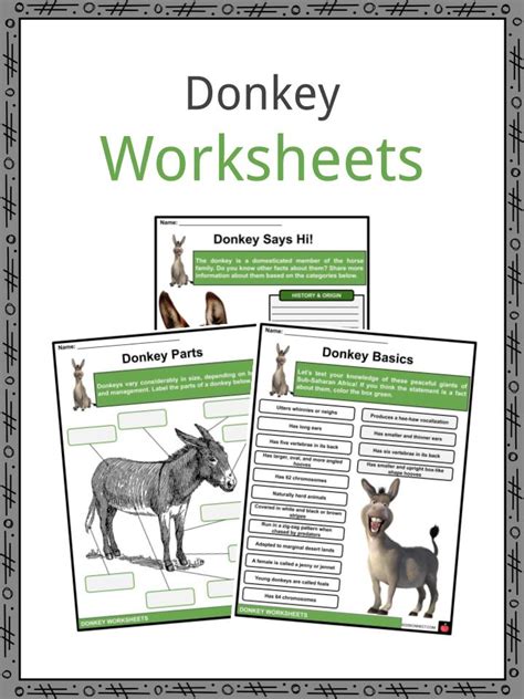 Donkey Facts, Worksheets, Terminology & History For Kids