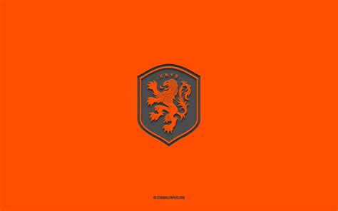 Netherlands Football Logo 2022