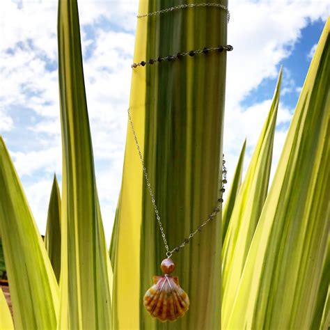 Kauai sunrise shell with an edison pearl in sterling silver | Etsy