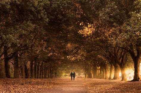 Autumn in St Annes Park • Bryan Hanna Irish Landscape Photography