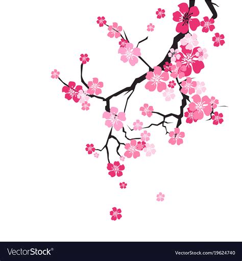 Cherry blossom background sakura flowers pink Vector Image