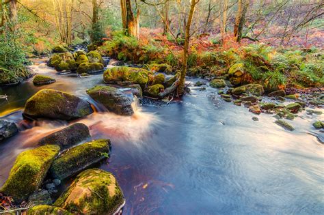 Download free photo of Valley of desolation,yorkshire,bolton abbey ...