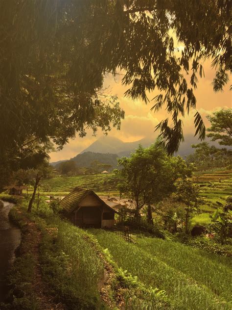 A village in Indonesia when I was on a field trip : MostBeautiful