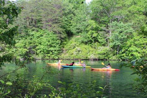 Kayak Little River | Alapark