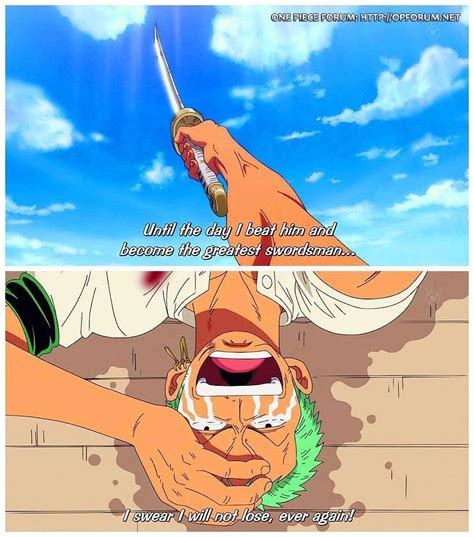 Zoro's promise! | One piece quotes, One piece, One piece manga