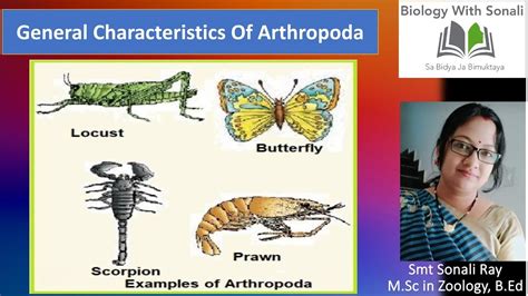 General Characteristics Of Arthropoda || B.Sc 2nd Semester zoology || # ...