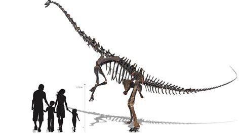 Este esqueleto gigante de Diplodocus puede ser tuyo