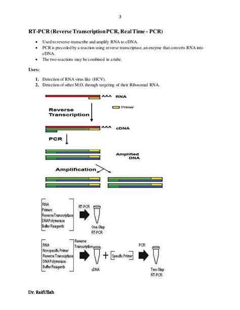 Different types of PCR