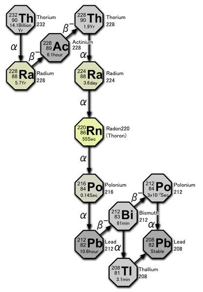 228 Th decay chain. Most of the gamma rays present in the spectrum are... | Download Scientific ...