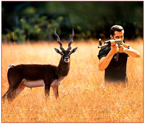 Salman Sensation on Blackbuck poaching case | cinejosh.com