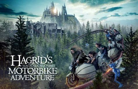 Fire Closes Hagrid's Motorbike Roller Coaster at Universal - Inside the ...