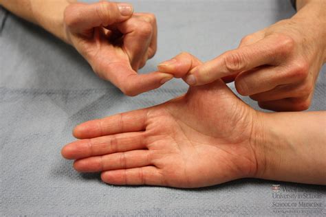 5 Main Causes You Must Know About Thumb Joint Pain - Highland Park News