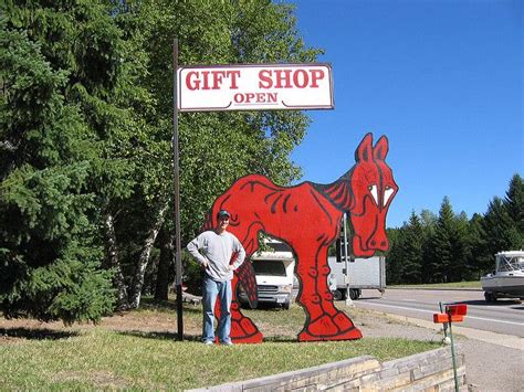 Hungry Horse gift shop (Montana) | Hungry horse, Horse gifts, Big sky country