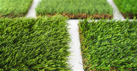 Need to Know About the Cost of Artificial Grass