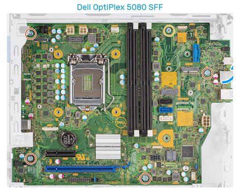 Dell OptiPlex 3080 SFF vs. Dell OptiPlex 5080 SFF Comparison