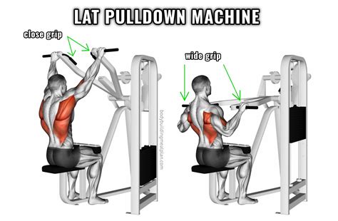 Close Grip Lat Pulldown vs Wide Grip: Mechanics & Muscle Activation