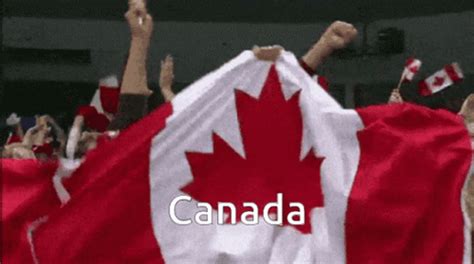 People Cheering With Canada Flag GIF | GIFDB.com