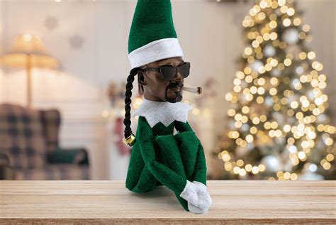 Novelty 'Snoop on a Stoop' Decoration Deal - Wowcher