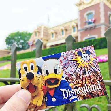 2 Day Park Hopper Disneyland - Rachaelj Macfarlane