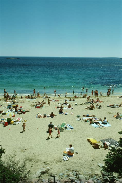 Dog Friendly Beaches In Maine 13 Dog-friendly Summer Beaches In Maine From York To Camden ...