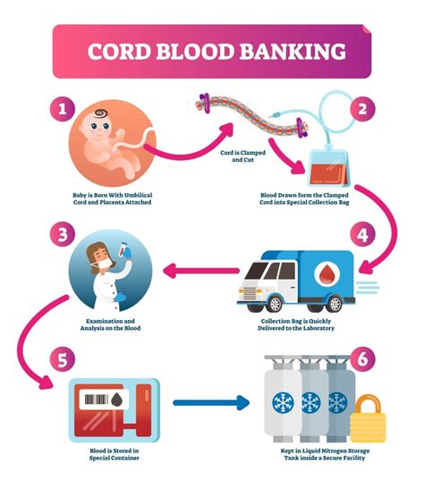 Cord Blood Registry Cost - Umbilical Cord Blood A Guide For Primary Care Physicians American ...