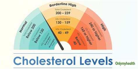 6 Important Things You Need To Know About Your Cholesterol Levels | OnlyMyHealth