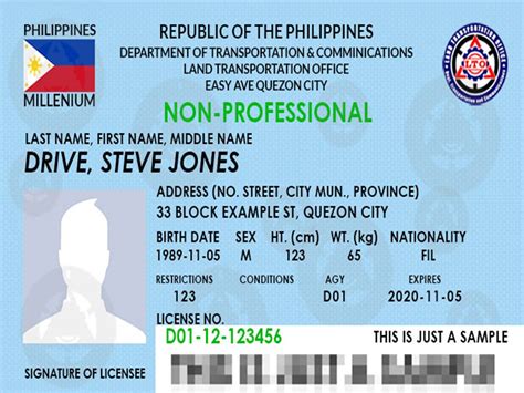 Expats’ Guide to Driving Laws in the Philippines | Philippine Primer