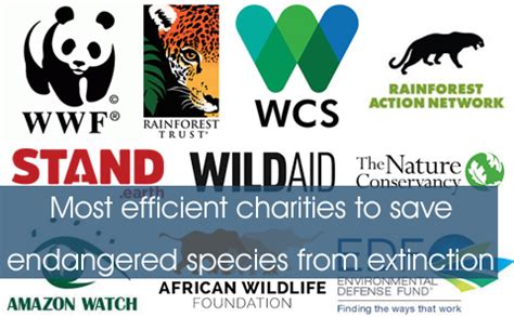 Best charities to save animal & plant species from extinction - Eupedia