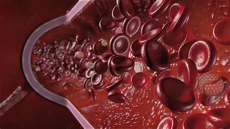 High Density Lipoprotein Hdl Cholesterol Atherosclerosis Molecular Lipoprotein Photo Background ...