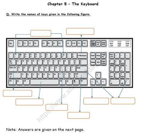 CBSE Class 1 Computer Science The Keyboard Worksheet Practice Worksheet for Computers | Computer ...