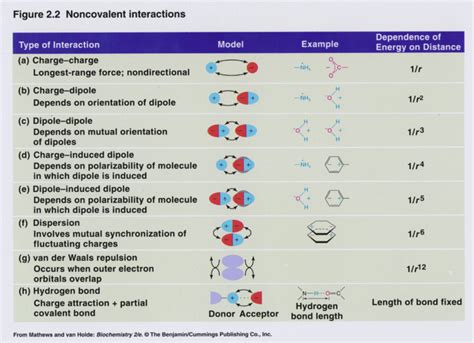 Non covalent interactions - Alchetron, the free social encyclopedia