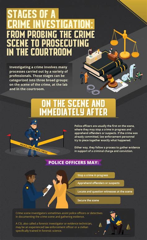 Stages of a Crime Investigation and Criminal Justice Careers | UCF Online