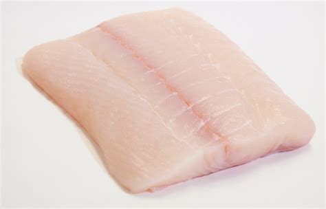 Fresh Halibut Fillet • Harbor Fish Market